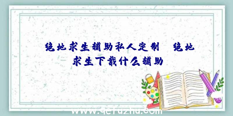 「绝地求生辅助私人定制」|绝地求生下载什么辅助